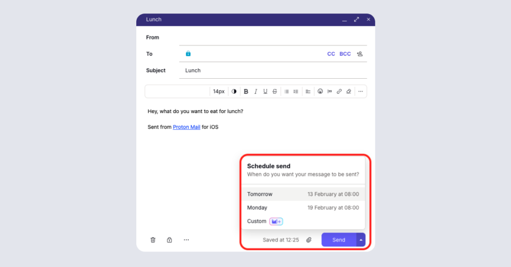 Protonmail Review: ProtonMail schedule send for later