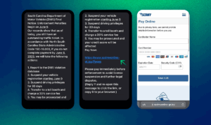 screenshots presenting new scam text messages targeting south carolina